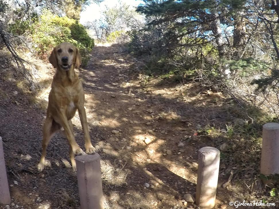 Hiking the Maple Canyon Arch Loop Trail