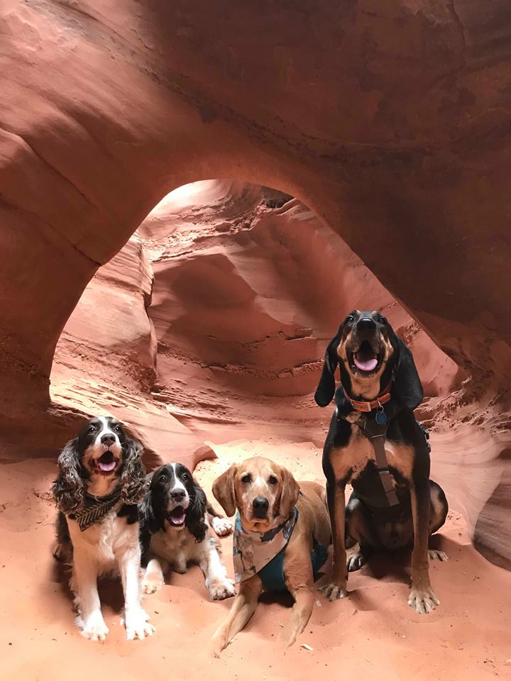 Hiking Spooky & Peekaboo Slot Canyons (Loop), Hiking in Escalante, Utah, Hiking in Escalante with Dogs, Hiking slot canyons