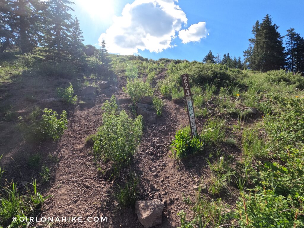 Hiking to Delano Peak, Tushar Mountains