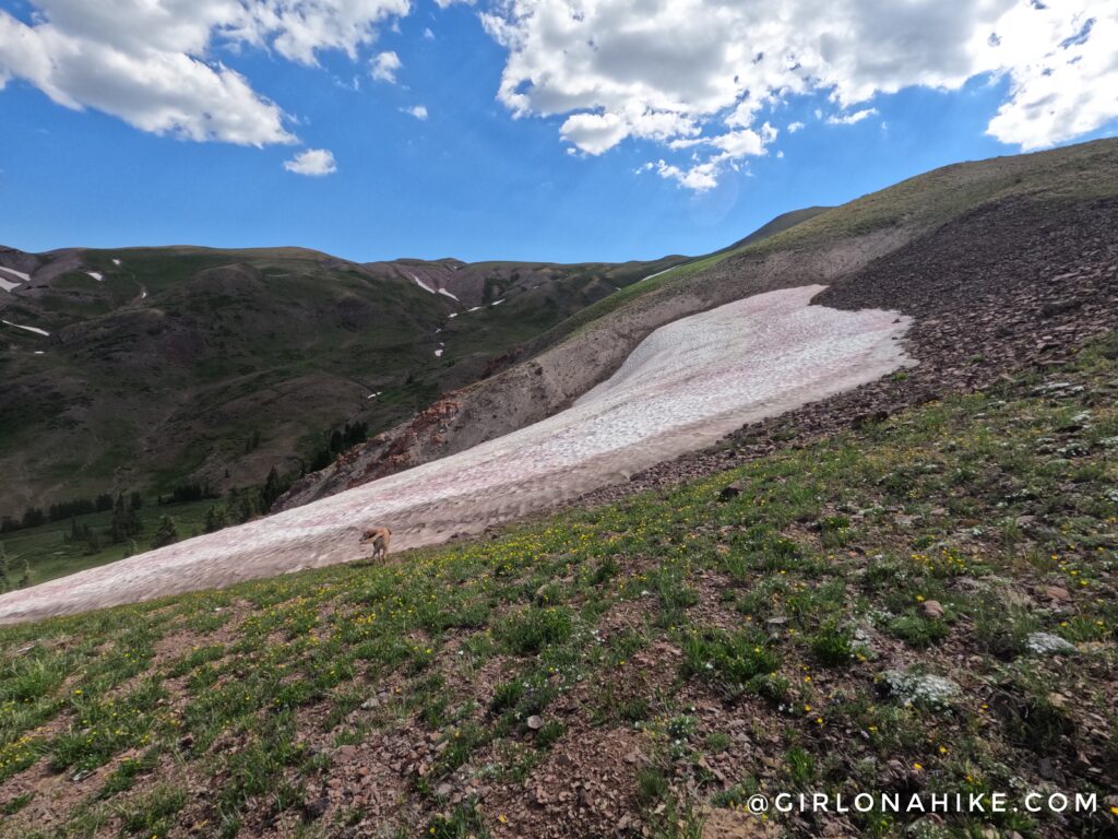 Hiking to Delano Peak, Tushar Mountains