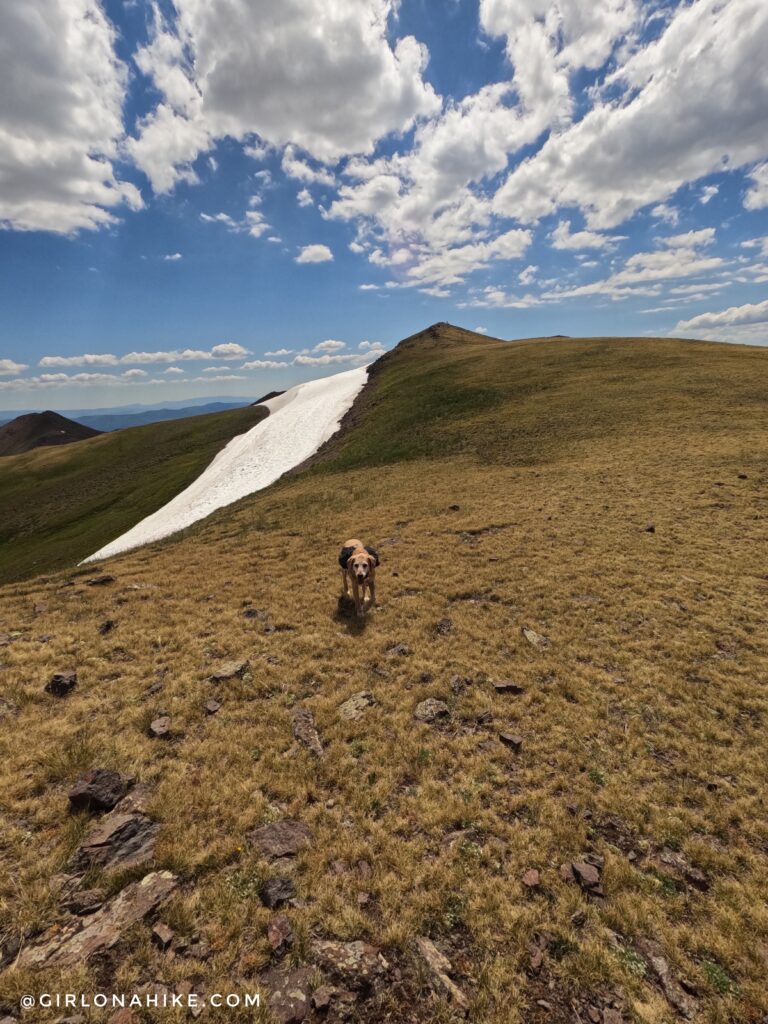 Hiking to Delano Peak, Tushar Mountains