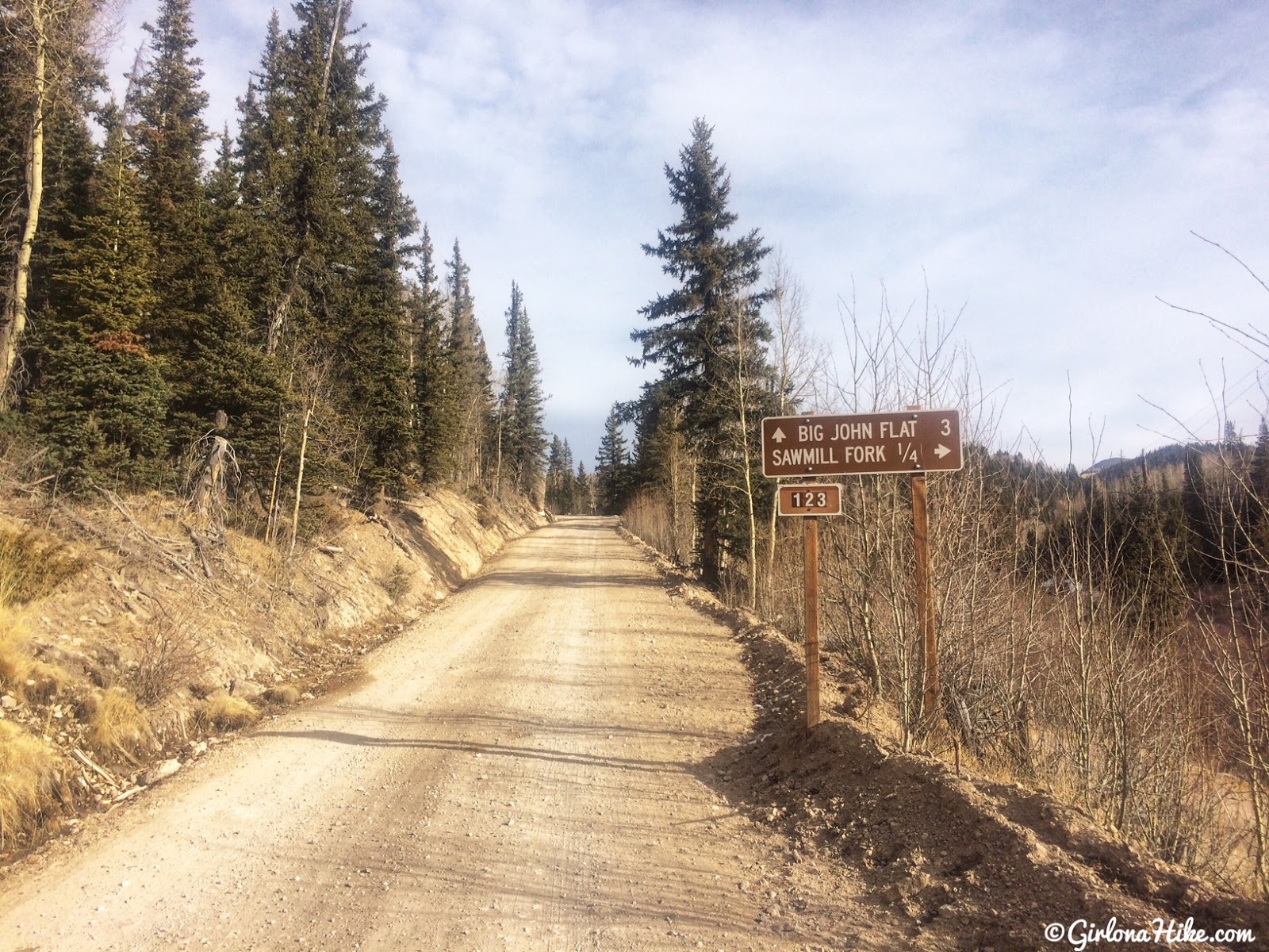 Hiking to Delano Peak, Tushar Mountains, Beaver & Piute County High Point, Hiking in Utah with Dogs