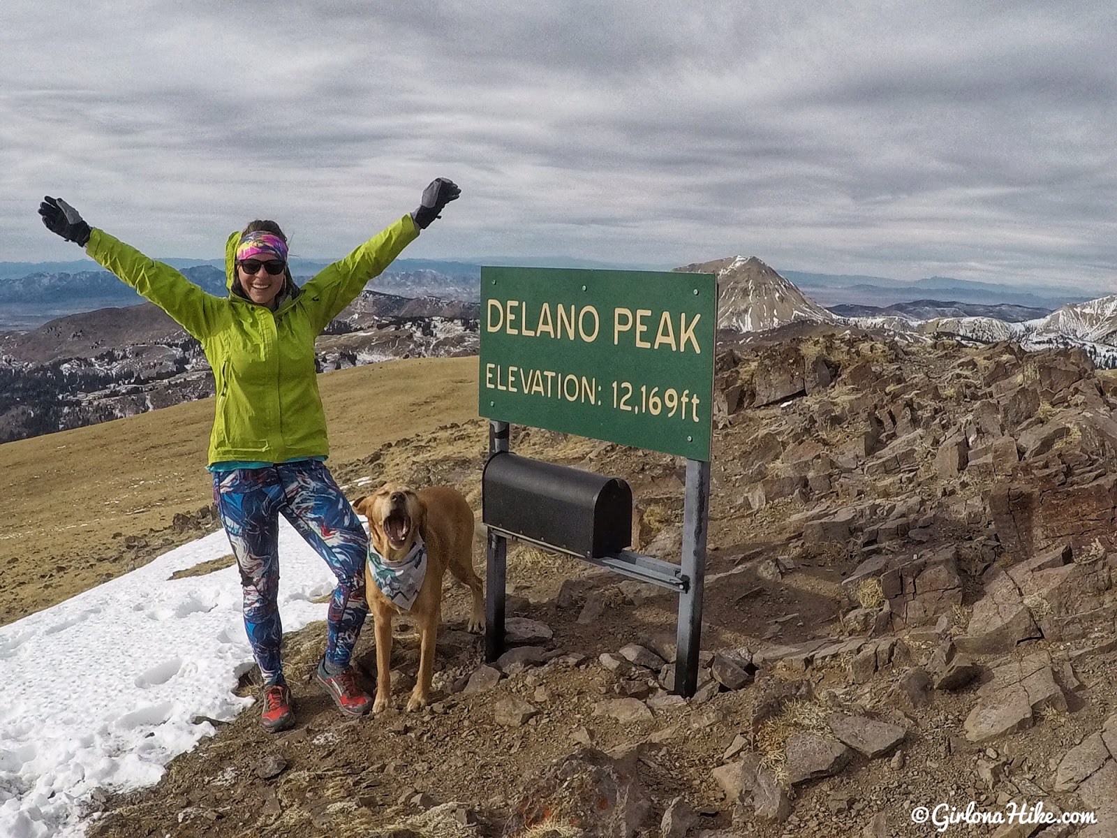 Hiking to Delano Peak, Tushar Mountains, Beaver & Piute County High Point, Hiking in Utah with Dogs