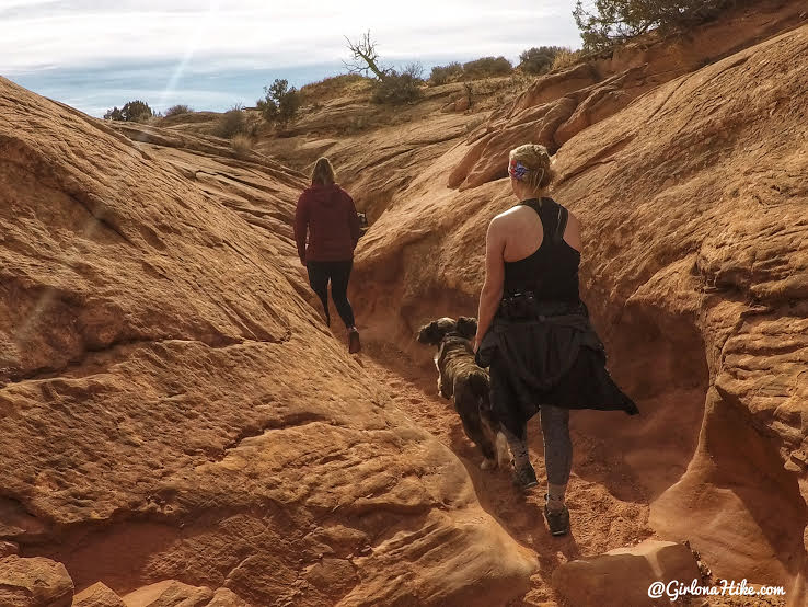 Hiking Spooky & Peekaboo Slot Canyons (Loop), Hiking in Escalante, Utah, Hiking in Escalante with Dogs, Hiking slot canyons