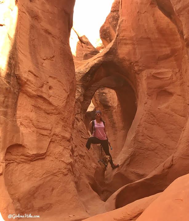 Hiking Spooky & Peekaboo Slot Canyons (Loop), Hiking in Escalante, Utah, Hiking in Escalante with Dogs, Hiking slot canyons