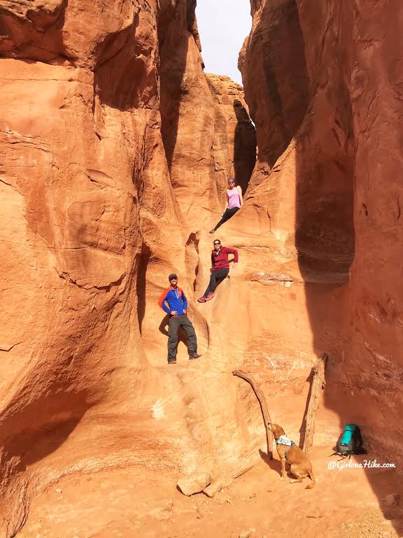 Hiking Spooky & Peekaboo Slot Canyons (Loop), Hiking in Escalante, Utah, Hiking in Escalante with Dogs, Hiking slot canyons