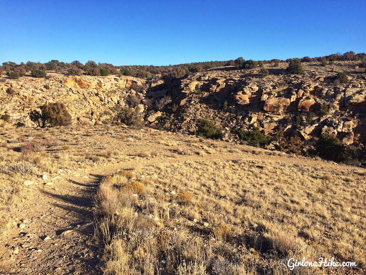 Hiking to the Rochester Panel & Molen Reef Petroglyphs