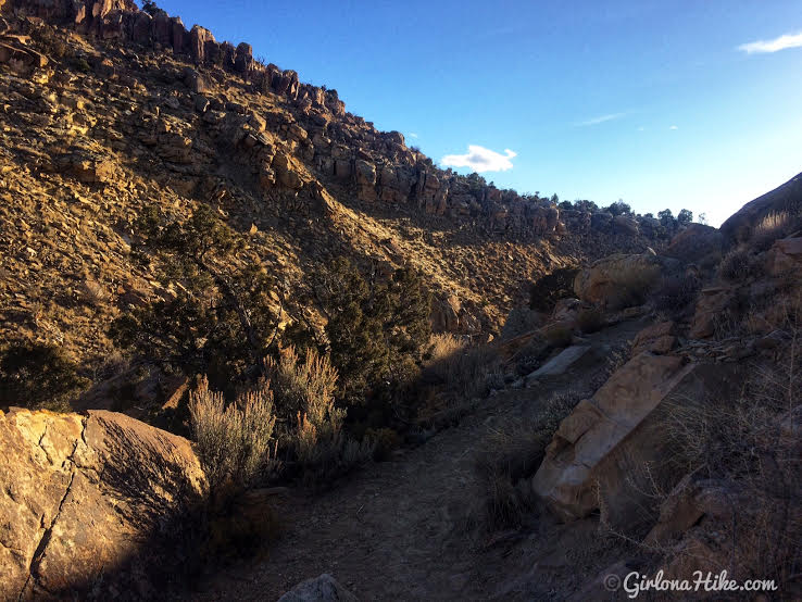 Hiking to the Rochester Panel & Molen Reef Petroglyphs