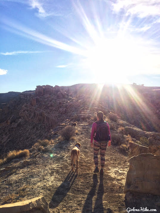 Hiking to the Rochester Panel & Molen Reef Petroglyphs