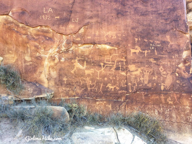 Hiking to the Rochester Panel & Molen Reef Petroglyphs