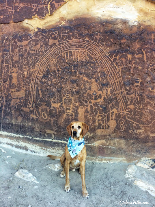 Hiking to the Rochester Panel & Molen Reef Petroglyphs