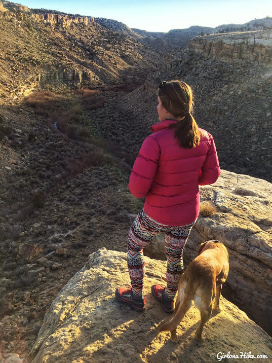 Hiking to the Rochester Panel & Molen Reef Petroglyphs