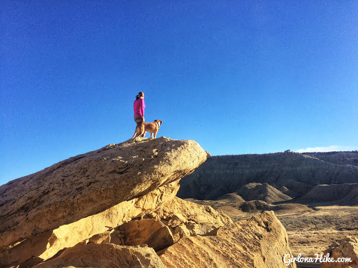 Hiking to the Rochester Panel & Molen Reef Petroglyphs