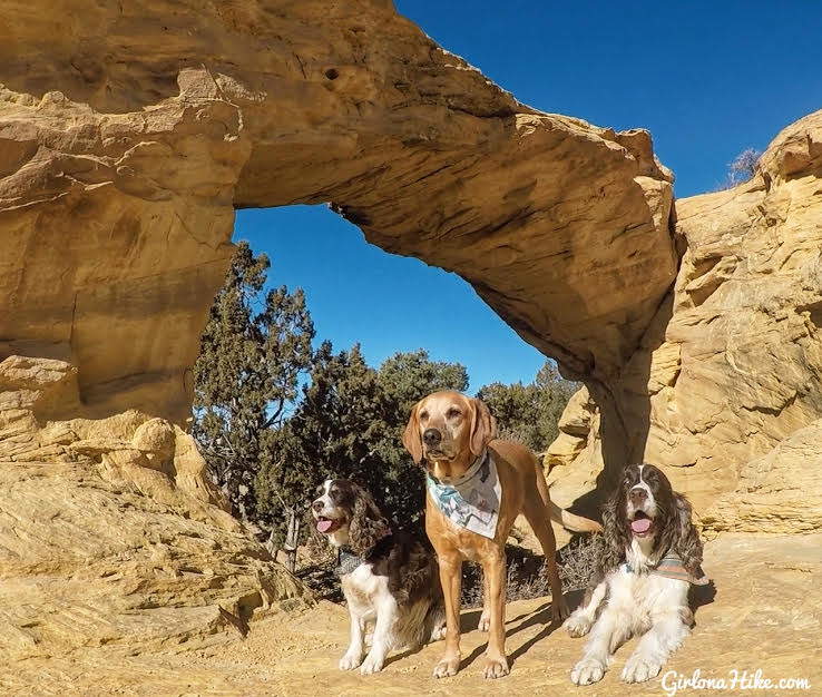 Exploring Dutchman Arch & the Head of Sinbad Pictographs