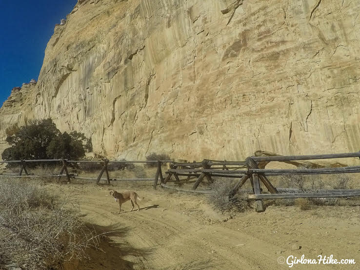 Exploring the Swasey Cabin & Lone Warrior Pictograph