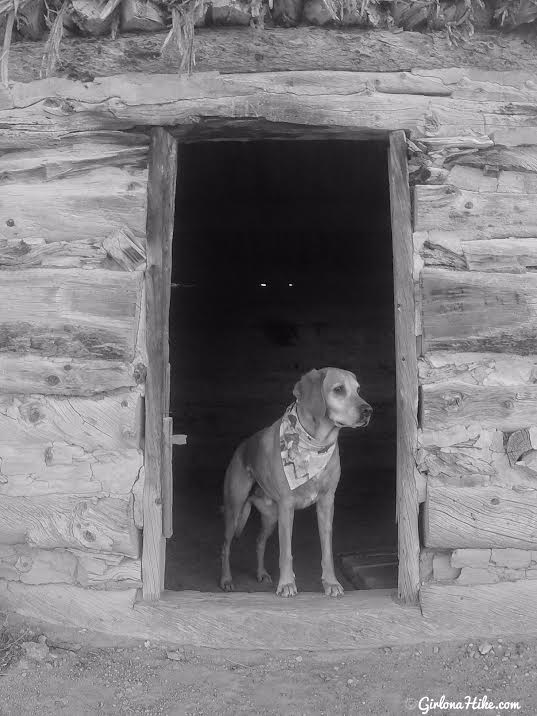 Exploring the Swasey Cabin & Lone Warrior Pictograph