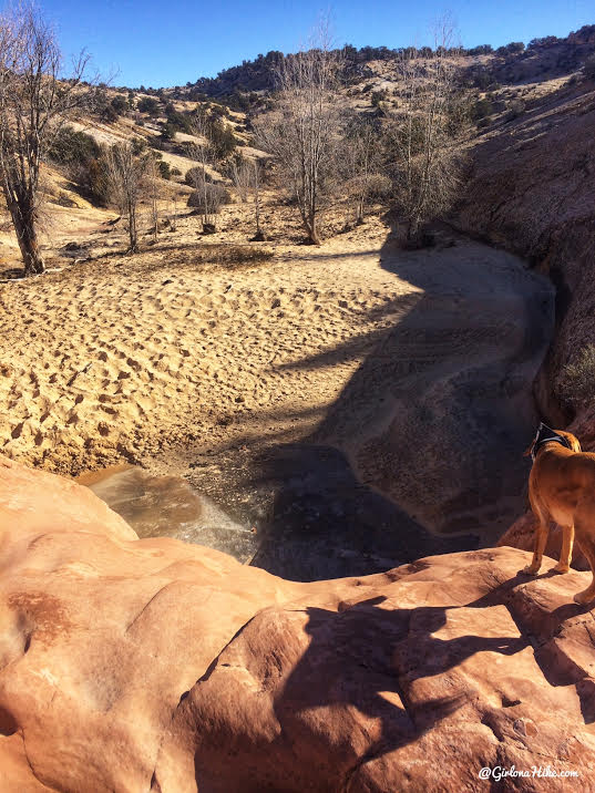 Hiking to Phipps Arch, Grand Staircase Escalante National Monument