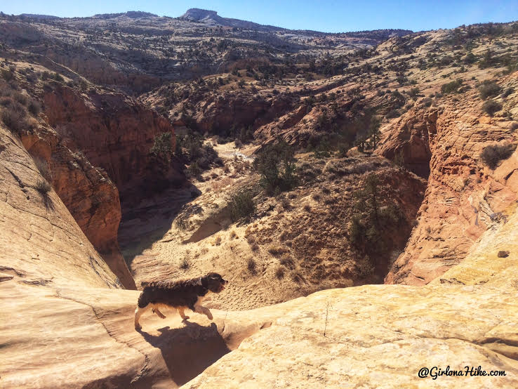 Hiking to Phipps Arch, Grand Staircase Escalante National Monument
