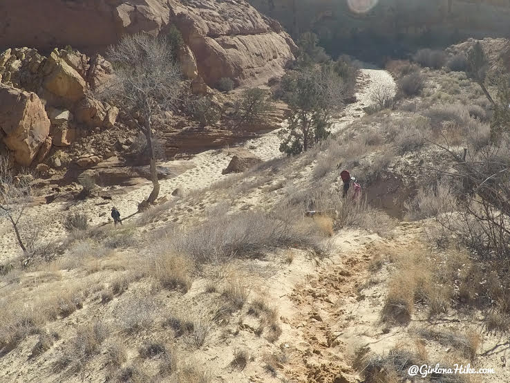 Hiking to Phipps Arch, Grand Staircase Escalante National Monument