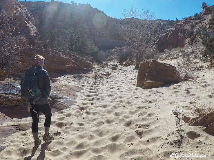 Hiking to Phipps Arch, Grand Staircase Escalante National Monument