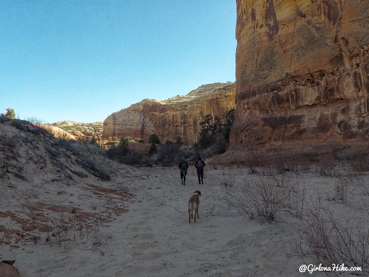 Hiking to Phipps Arch, Grand Staircase Escalante National Monument