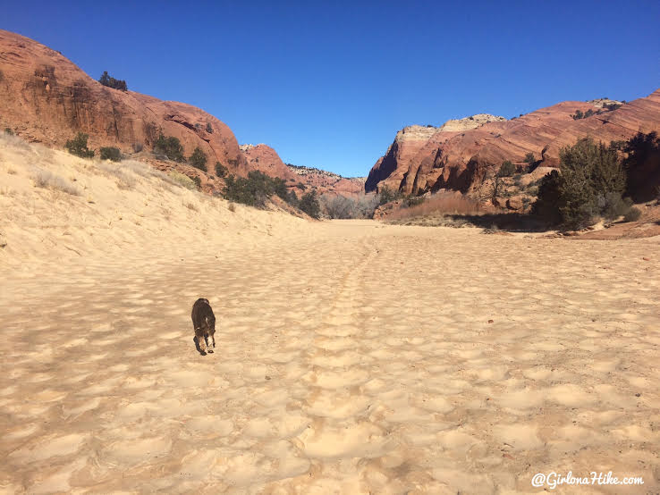 Hiking to Phipps Arch, Grand Staircase Escalante National Monument