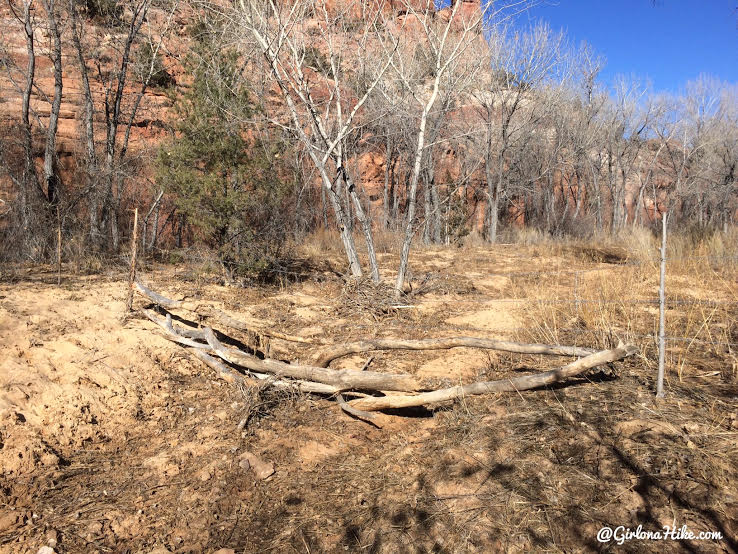 Hiking to Phipps Arch, Grand Staircase Escalante National Monument