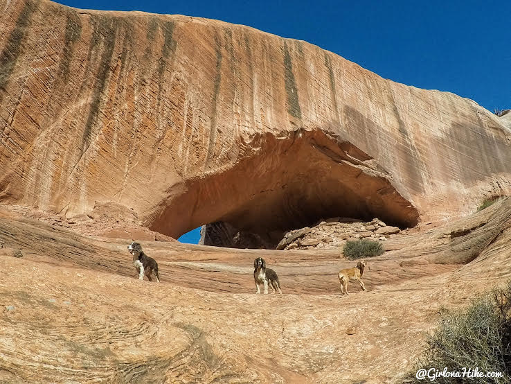 Hiking to Phipps Arch, Grand Staircase Escalante National Monument