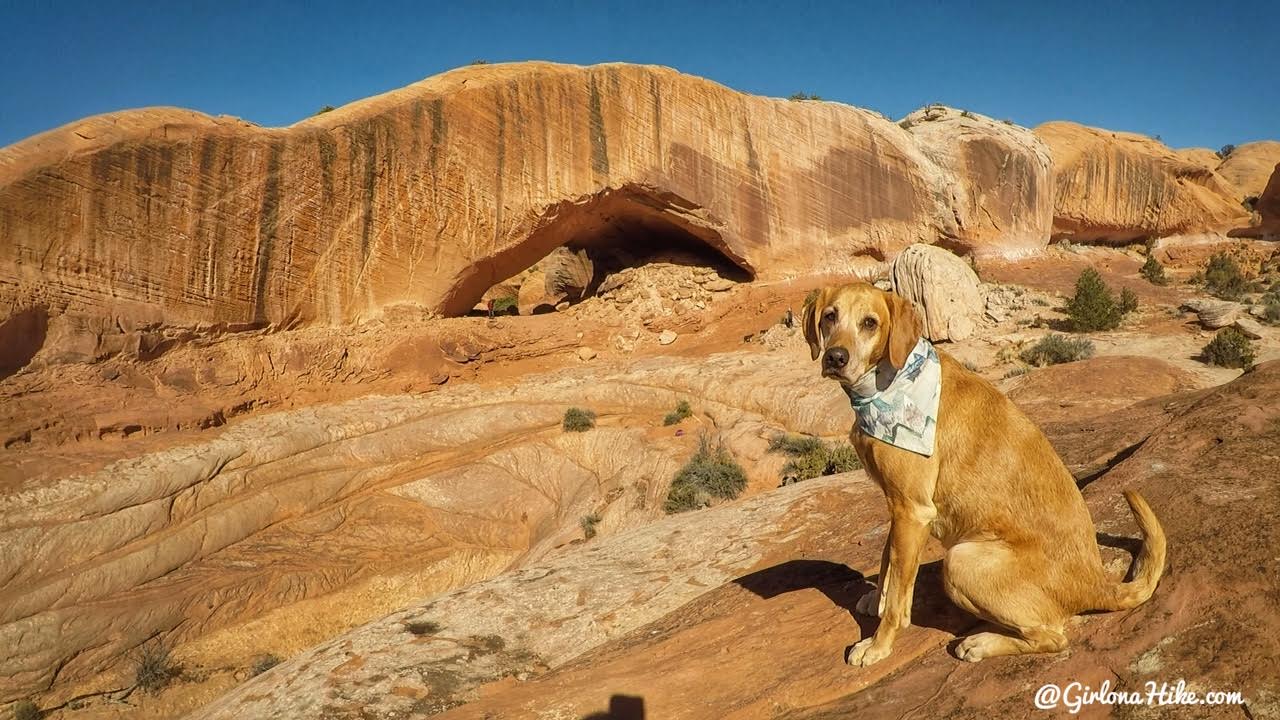 Hiking to Phipps Arch, Grand Staircase Escalante National Monument