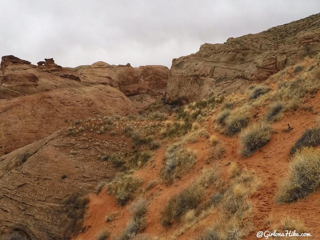 Hiking to Broken Bow Arch, Hiking in Grand Staircase Escalante National Moument, Hiking in Escalante with Dogs, Hiking to natural arches