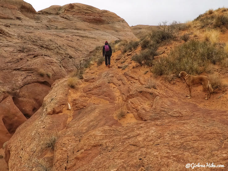 Hiking to Broken Bow Arch, Hiking in Grand Staircase Escalante National Moument, Hiking in Escalante with Dogs, Hiking to natural arches