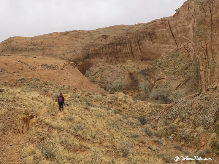 Hiking to Broken Bow Arch, Hiking in Grand Staircase Escalante National Moument, Hiking in Escalante with Dogs, Hiking to natural arches