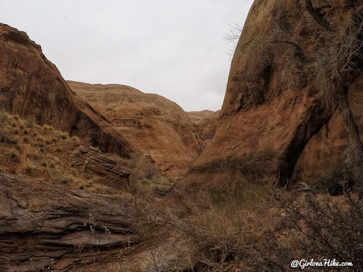 Hiking to Broken Bow Arch, Hiking in Grand Staircase Escalante National Moument, Hiking in Escalante with Dogs, Hiking to natural arches