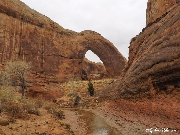 Hiking to Broken Bow Arch, Hiking in Grand Staircase Escalante National Moument, Hiking in Escalante with Dogs, Hiking to natural arches