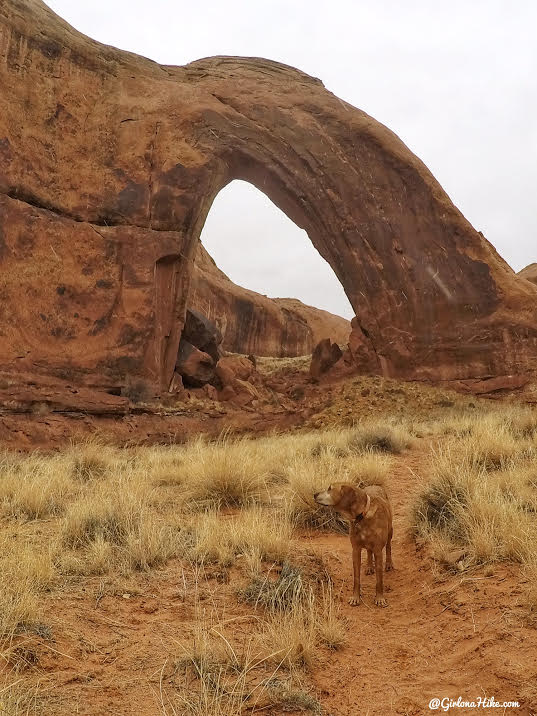 Hiking to Broken Bow Arch, Hiking in Grand Staircase Escalante National Moument, Hiking in Escalante with Dogs, Hiking to natural arches