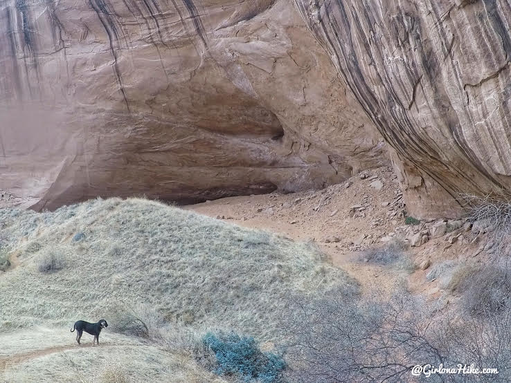 Hiking to Broken Bow Arch, Hiking in Grand Staircase Escalante National Moument, Hiking in Escalante with Dogs, Hiking to natural arches