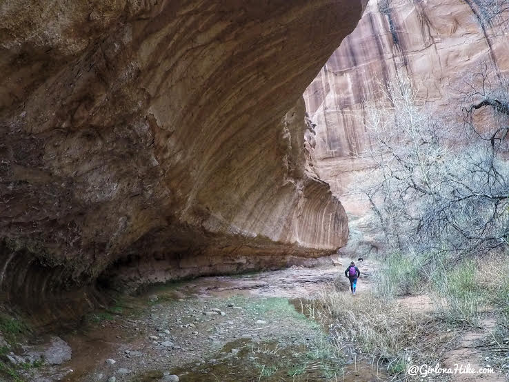 Hiking to Broken Bow Arch, Hiking in Grand Staircase Escalante National Moument, Hiking in Escalante with Dogs, Hiking to natural arches