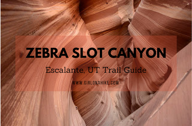 Hiking Zebra Slot Canyon