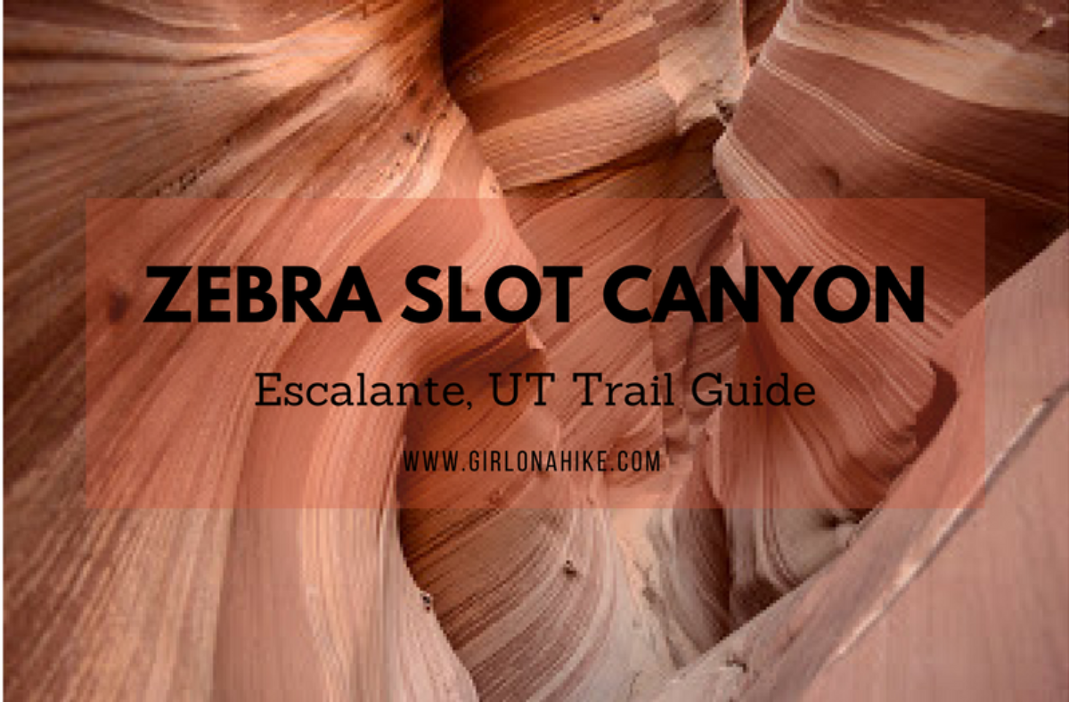 Zebra slot canyon trailhead grand staircase escalante hotsell
