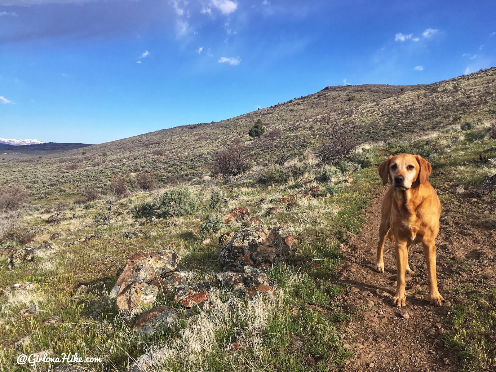 Hiking the Kamas Overlook Trail