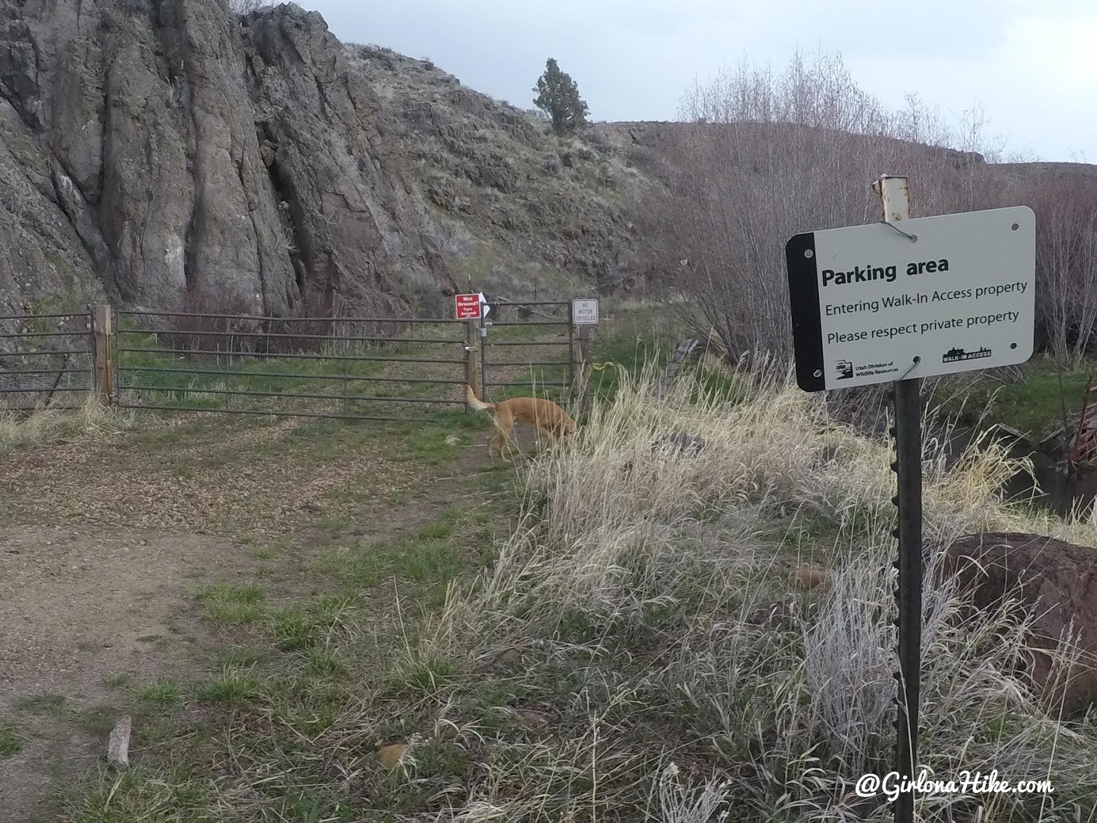 Hiking the Kamas Overlook Trail