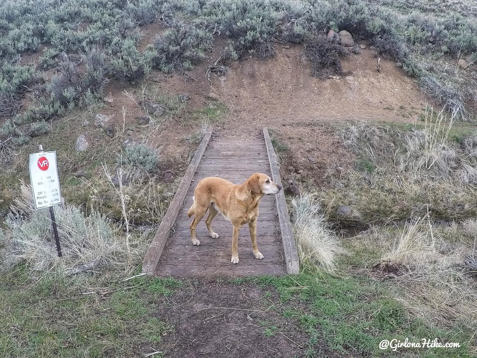 Hiking the Kamas Overlook Trail