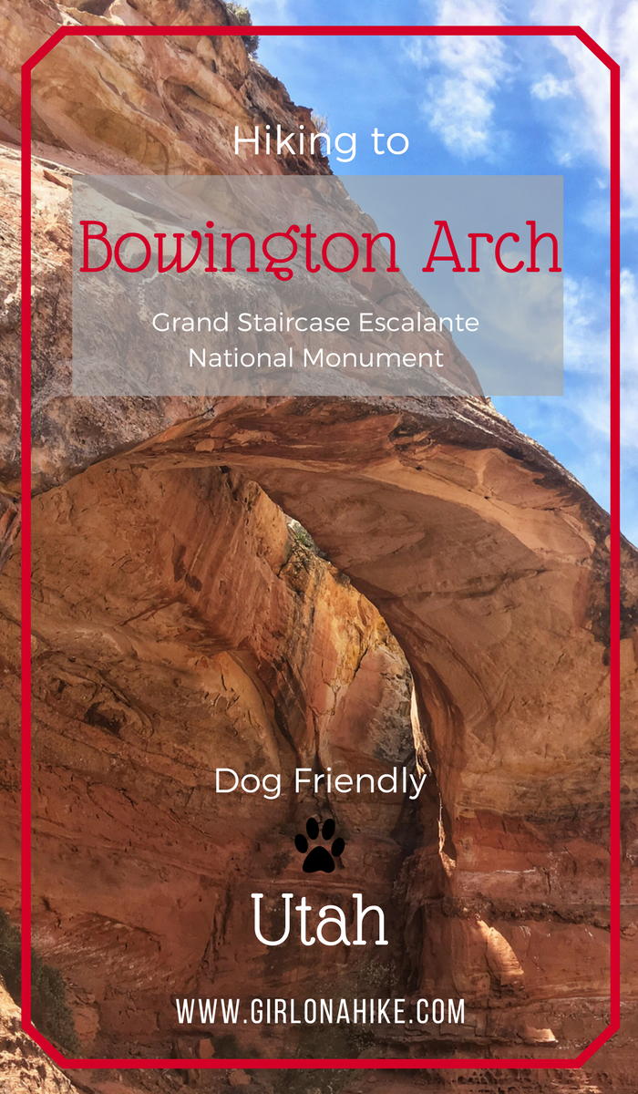 Bowington Arch Grand Staircase Escalante National Monument (GSENM), Hiking with Dogs in Utah