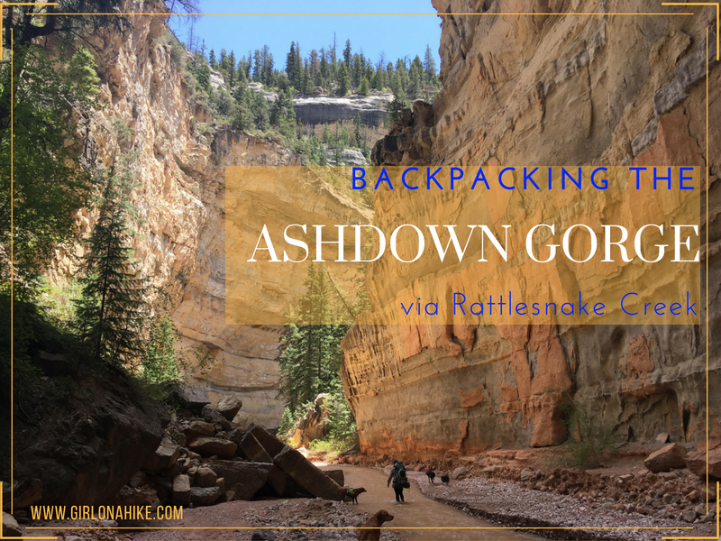 Backpacking the Ashdown Gorge via Rattlesnake Creek