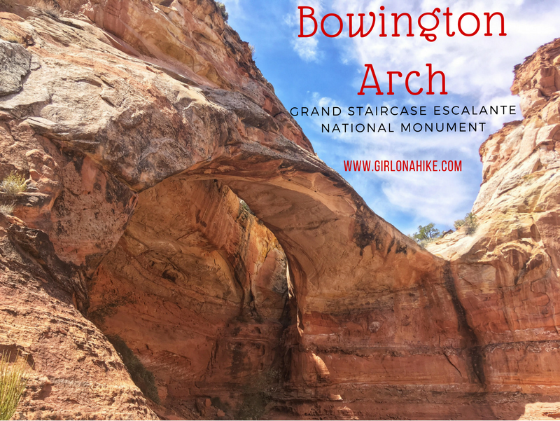 Bowington Arch Grand Staircase Escalante National Monument (GSENM), Hiking with Dogs in Utah