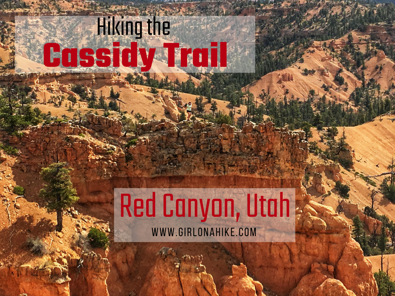 Hiking the Cassidy Trail in Red Canyon