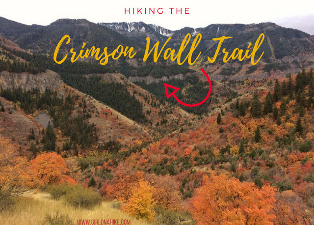 Hiking the Crimson Wall Trail, Logan Canyon