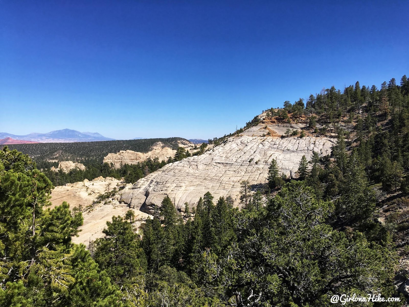 Hiking to Singletree Falls, Boulder Mountain