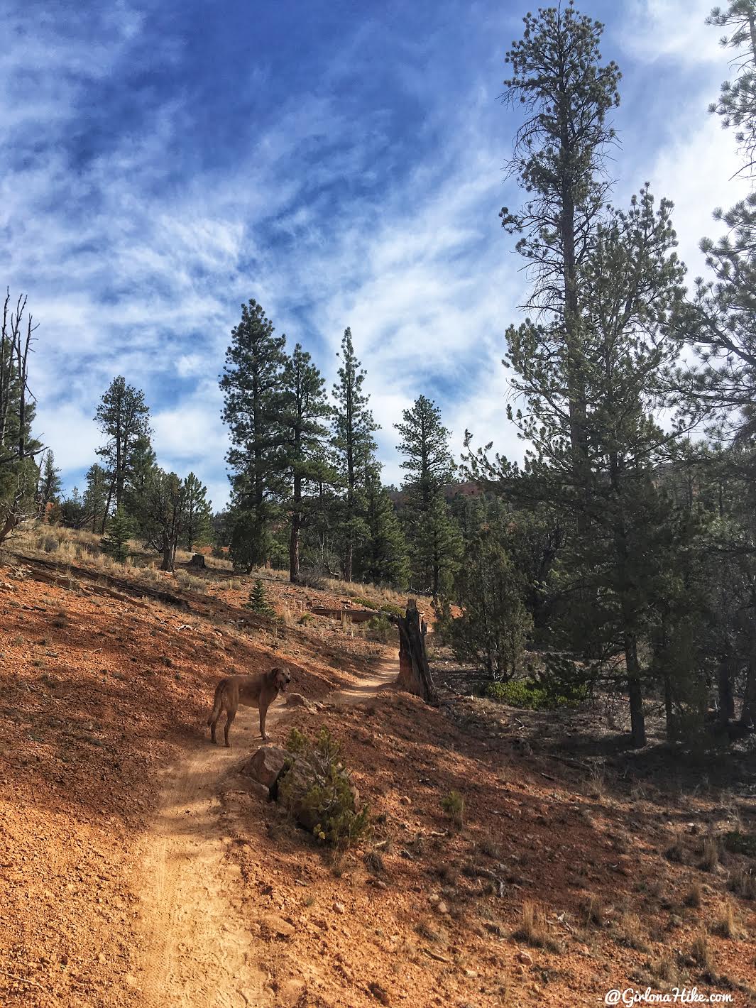 Hiking the Butch Cassidy Trail, Red Canyon near Bryce Canyon National Park