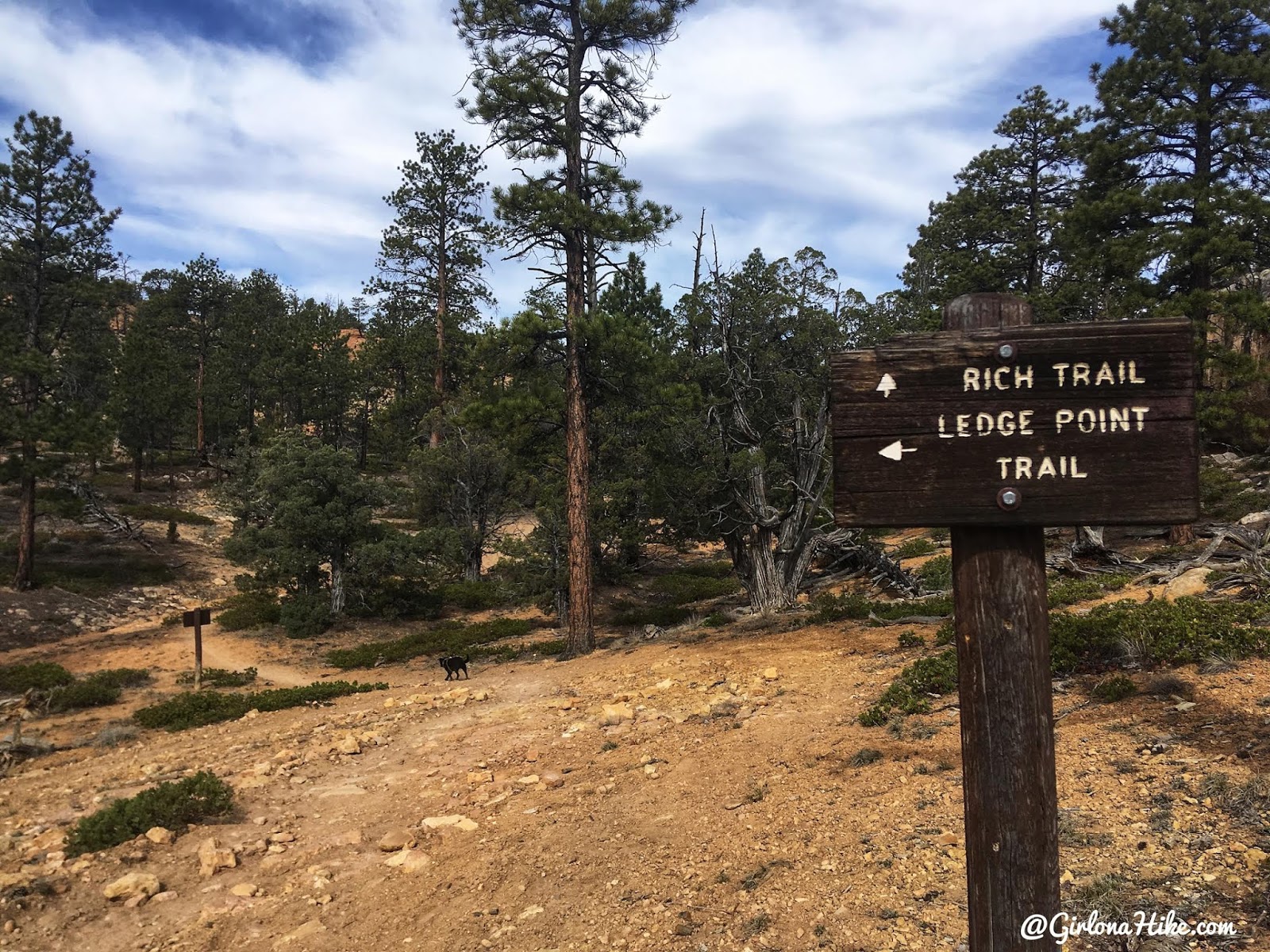 Hiking the Butch Cassidy Trail, Red Canyon near Bryce Canyon National Park